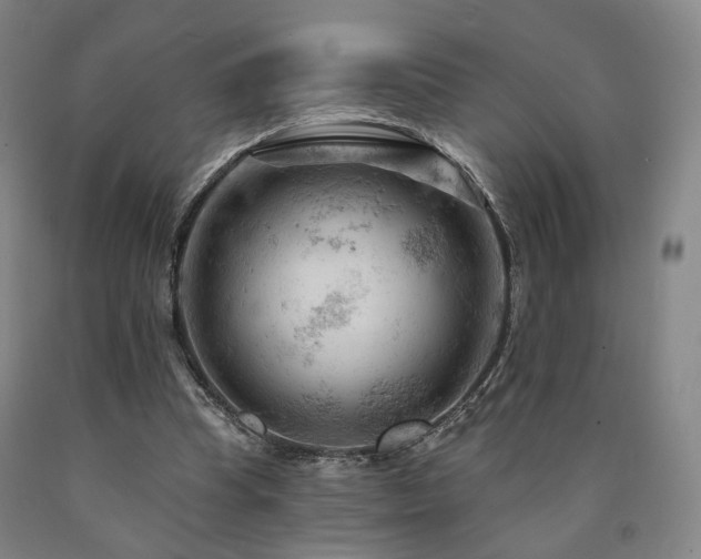 X0000090890345200707271336