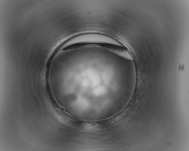 X0000090890346200707271336