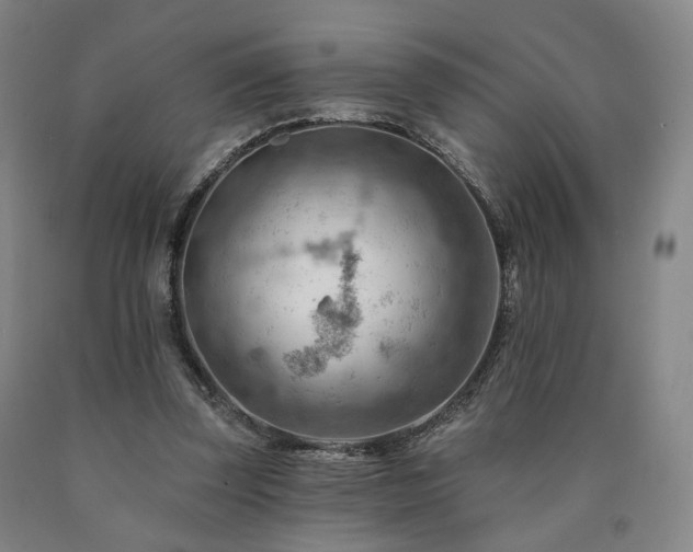 X0000090890347200707271336