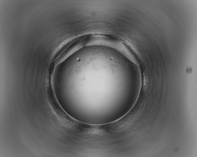 X0000090890348200707271336