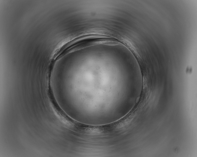 X0000090890349200707271337