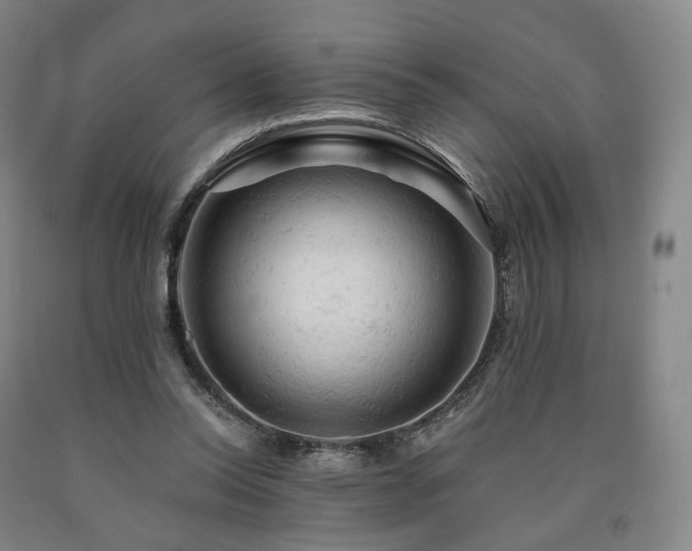 X0000090890350200707271337