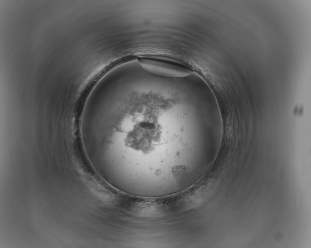 X0000090890351200707271337