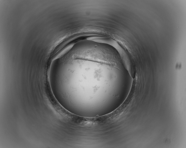 X0000090890352200707271337