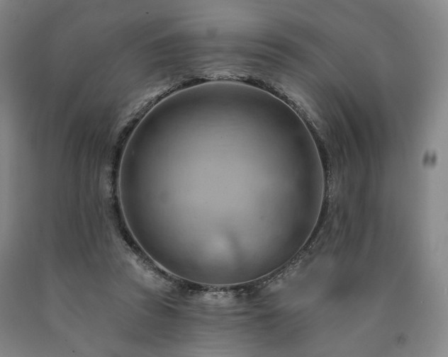 X0000090890353200707271337