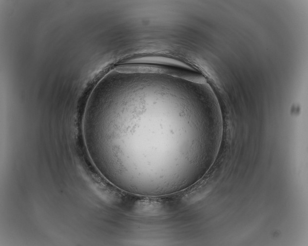 X0000090890354200707271337