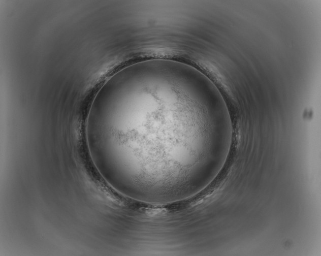 X0000090890355200707271337