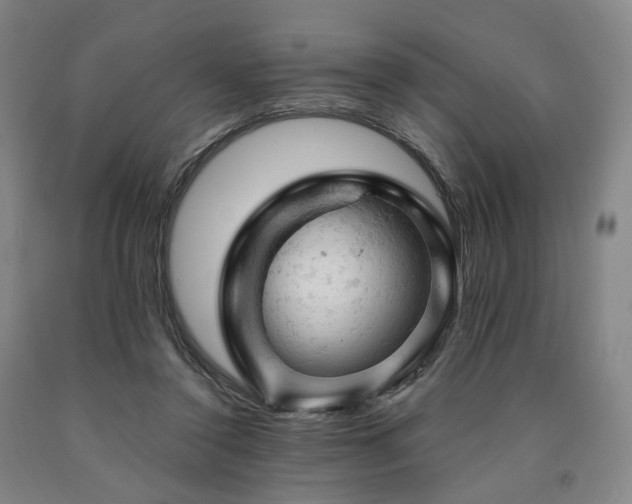 X0000090890356200707271337