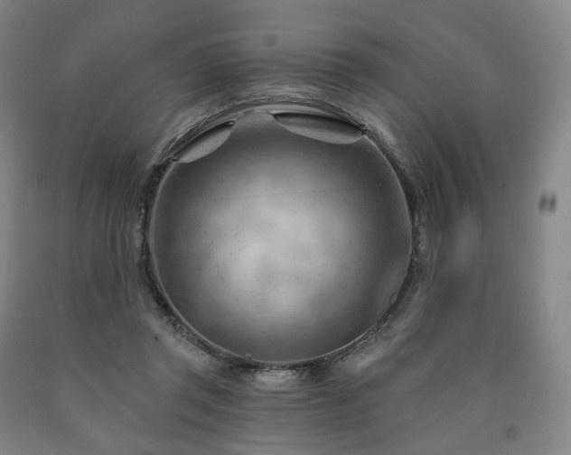 X0000090890357200707271337