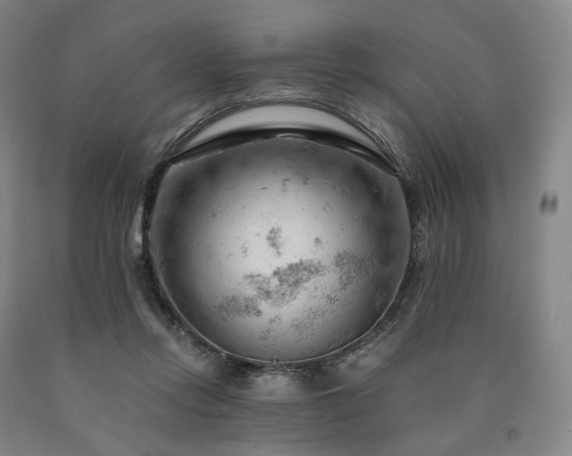 X0000090890358200707271337