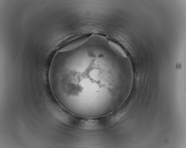 X0000090890359200707271337