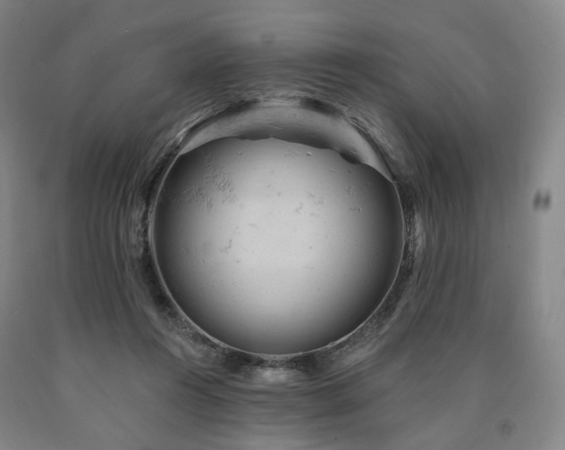 X0000090890360200707271337