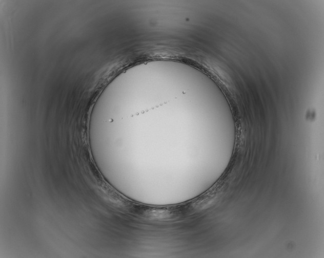 X0000090890361200707271337