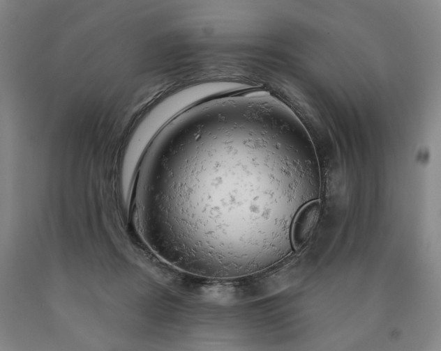 X0000090890362200707271337