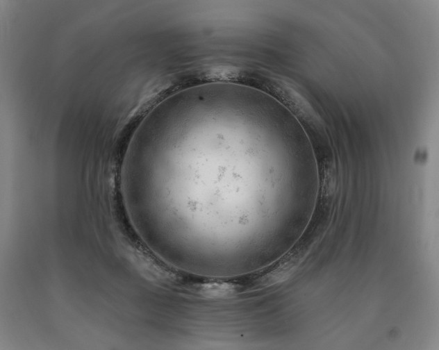 X0000090890363200707271337