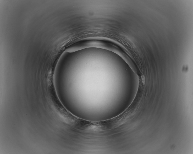 X0000090890364200707271337