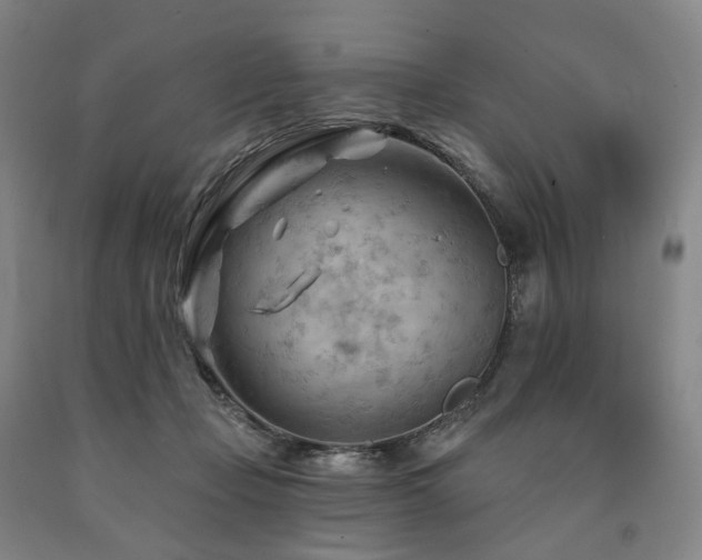 X0000090890365200707271337