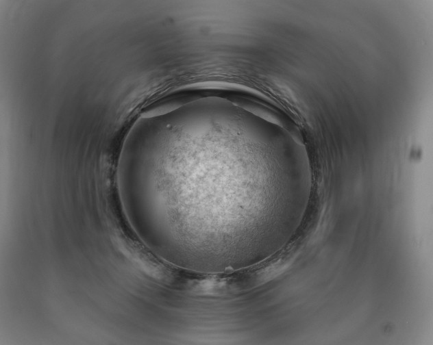 X0000090890366200707271337