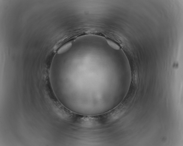 X0000090890367200707271337