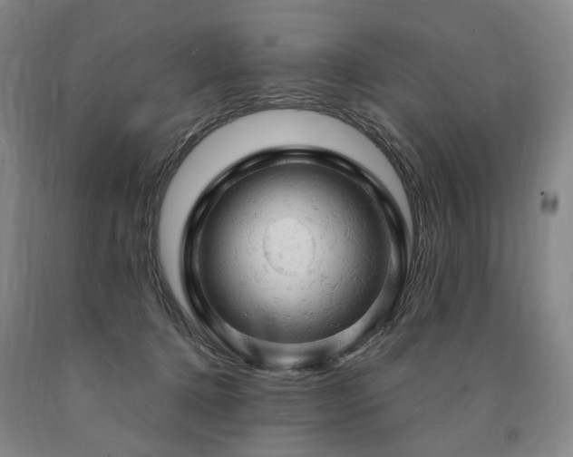 X0000090890368200707271337