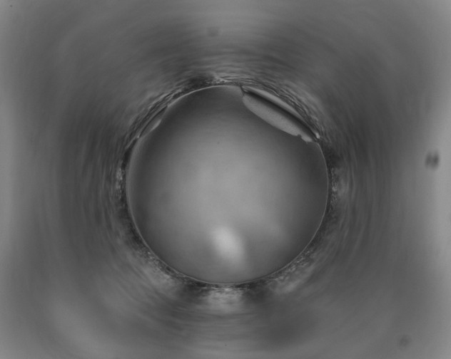 X0000090890369200707271337