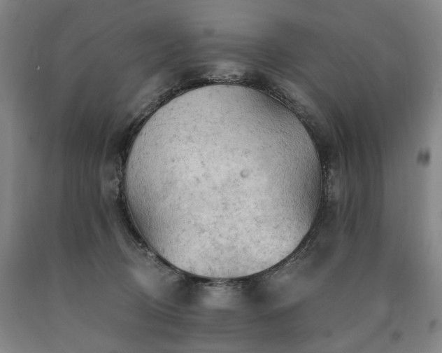 X0000090890370200707271337