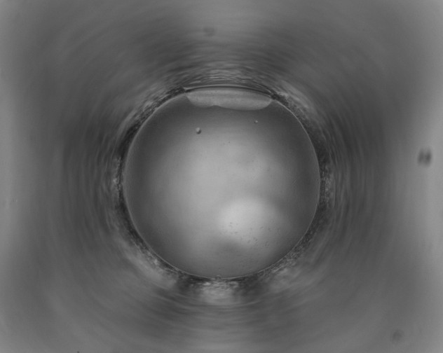 X0000090890373200707271337