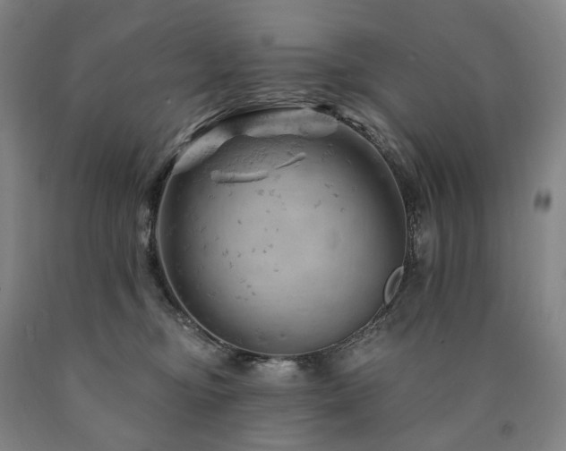 X0000090890374200707271337