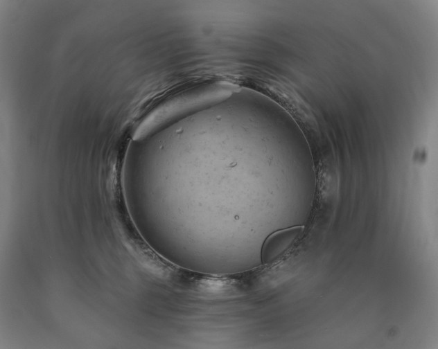 X0000090890375200707271337