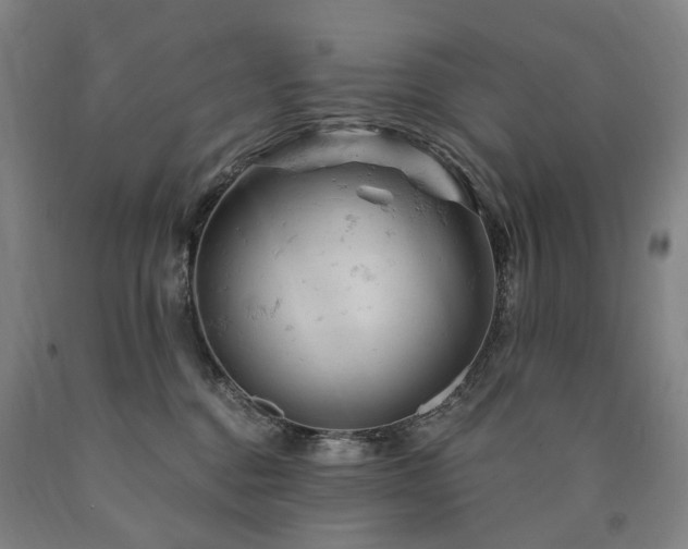 X0000090890376200707271337