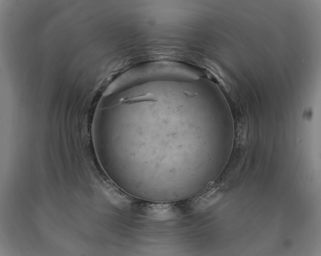 X0000090890377200707271337