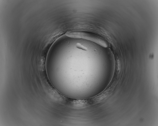 X0000090890378200707271337