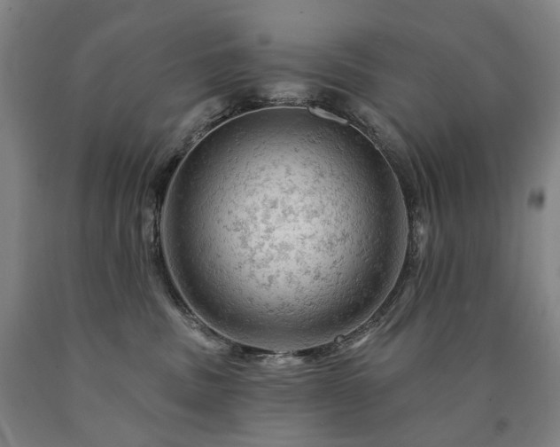 X0000090890379200707271337