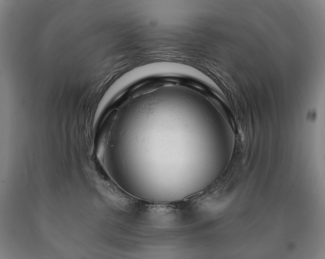 X0000090890380200707271337