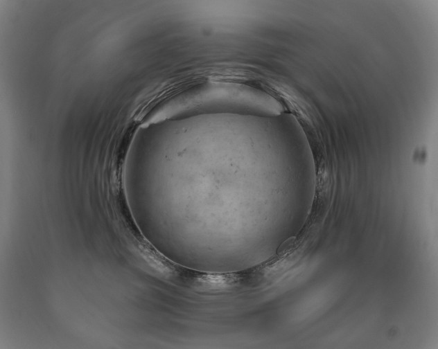 X0000090890381200707271337