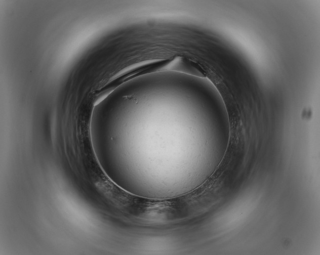 X0000090890382200707271337