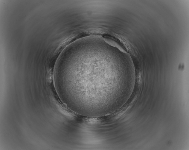 X0000090890383200707271337