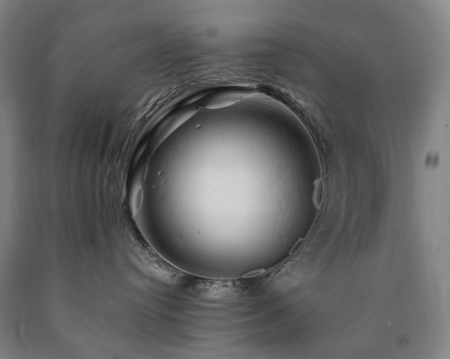 X0000090890384200707271337