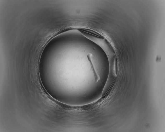 X0000090890385200707271336