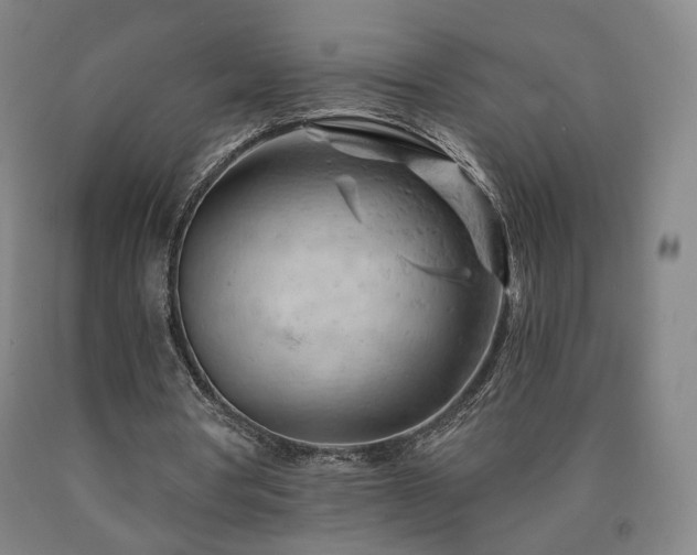 X0000090890386200707271336