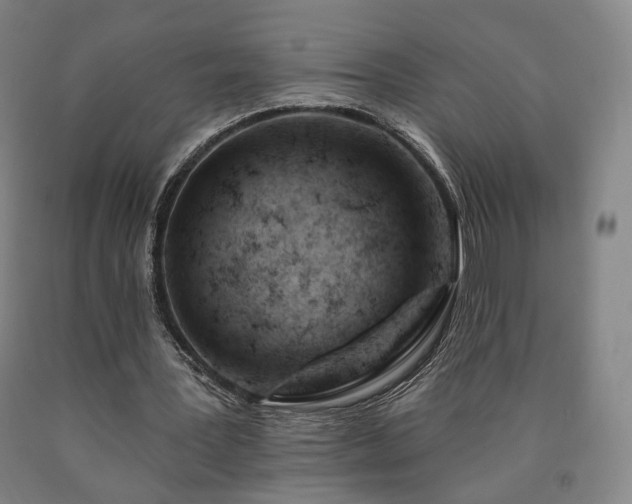 X0000090890387200707271336