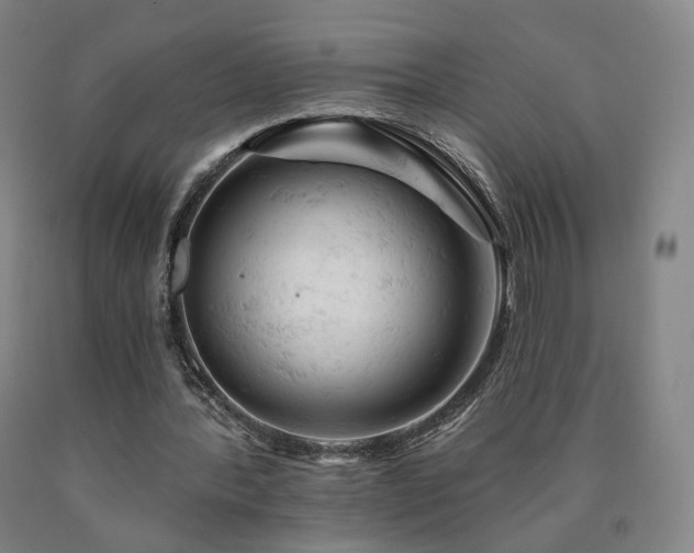 X0000090890388200707271336