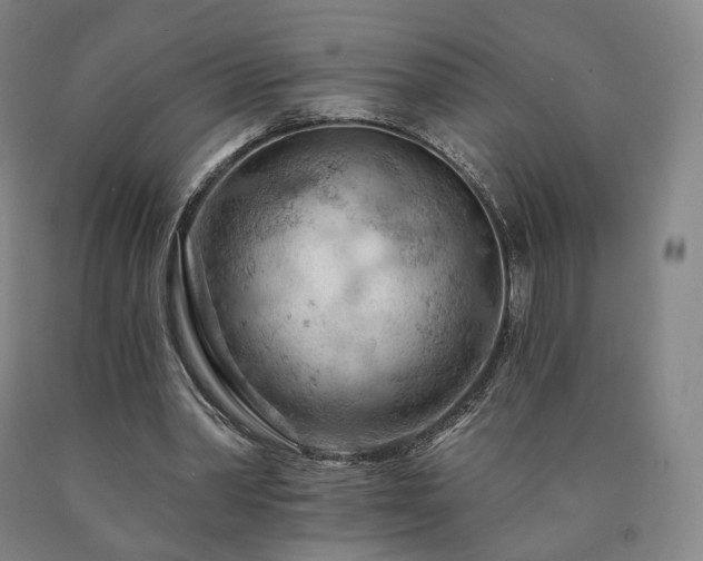 X0000090890390200707271336