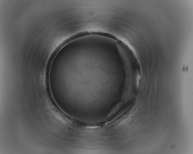 X0000090890391200707271336