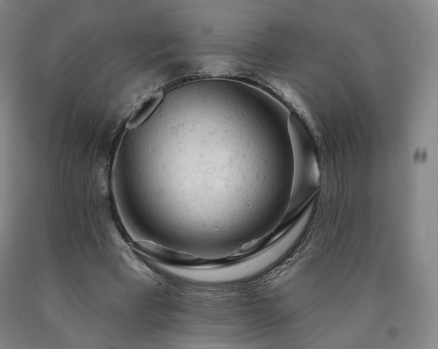 X0000090890393200707271336