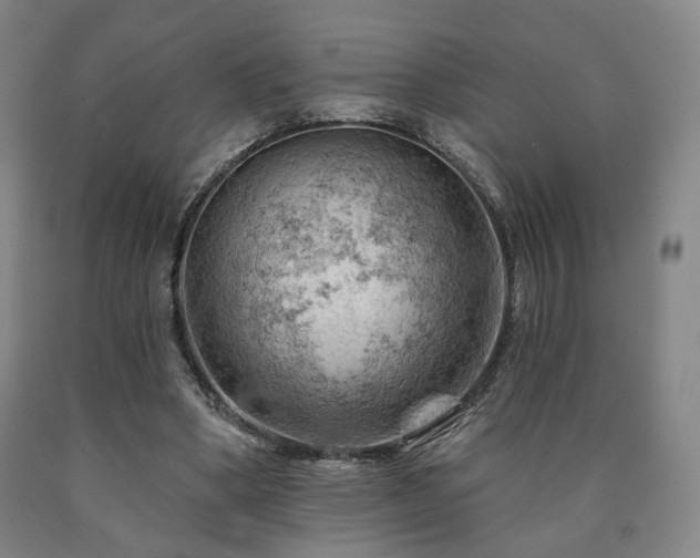 X0000090890394200707271336