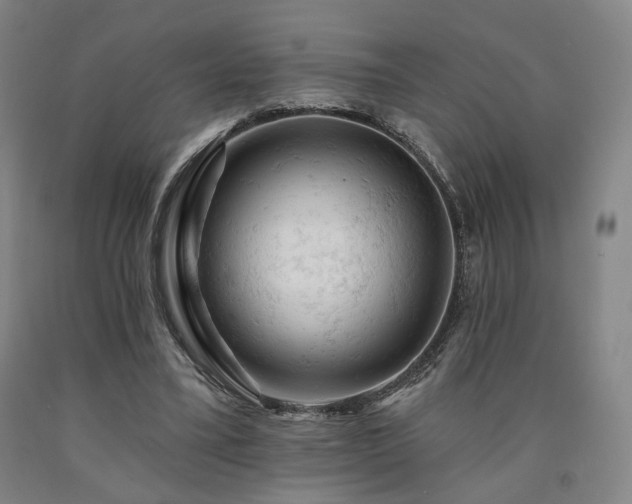 X0000090890395200707271336