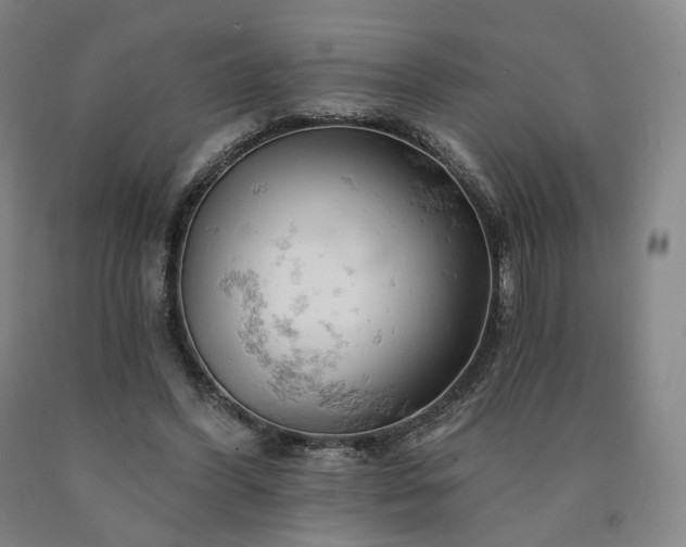 X0000090890396200707271336