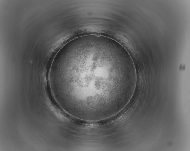 X0000090890398200707271336