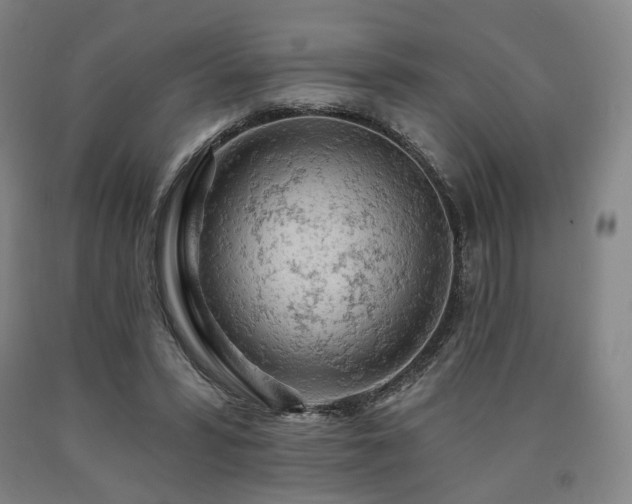 X0000090890399200707271336